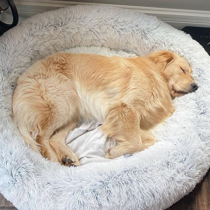 Calming Dog Cat Bed Soft Plush Round Pet Bed Raised Edge
