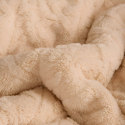 Double Sided Microfiber Fleece Blanket Extra Warm Plush Throw