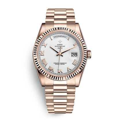 Mens Automatic Watch Day Date Mechanical Stainless Steel Wristwatch